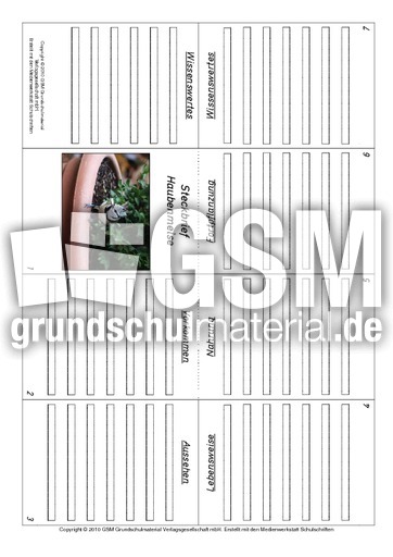Faltbuch-Haubenmeise.pdf